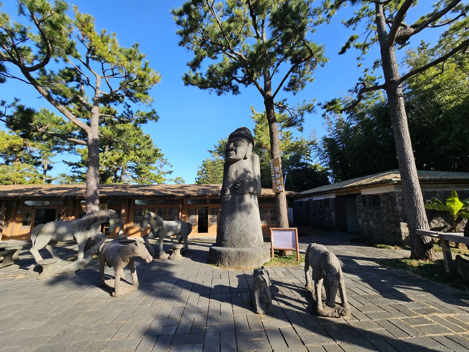 3월 제주도 가볼만한곳 제주 한림공원 매화 수선화축제