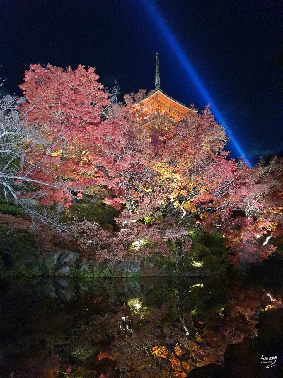 일본 교토 여행 가볼만한곳 청수사 기요미즈데라 라이트업 야경
