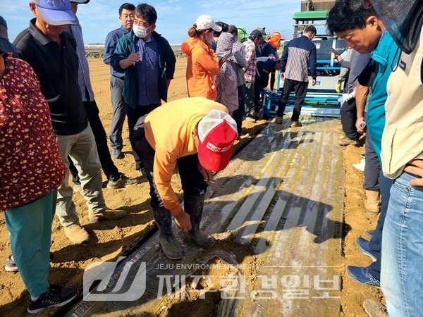 고된 마늘 농작업 ‘기계화’로 해결한다