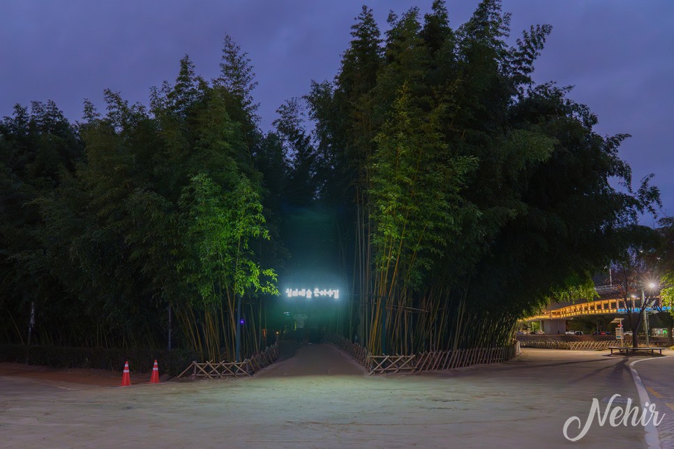 울산 태화강 국가정원 십리대숲 은하수길 울산 야경 명소