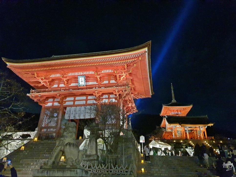 일본 교토 여행 가볼만한곳 청수사 기요미즈데라 라이트업 야경