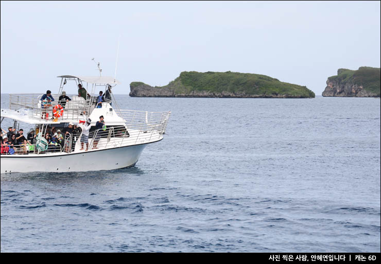 괌여행 괌 액티비티 추천 괌 돌핀크루즈 돌고래투어 스노쿨링