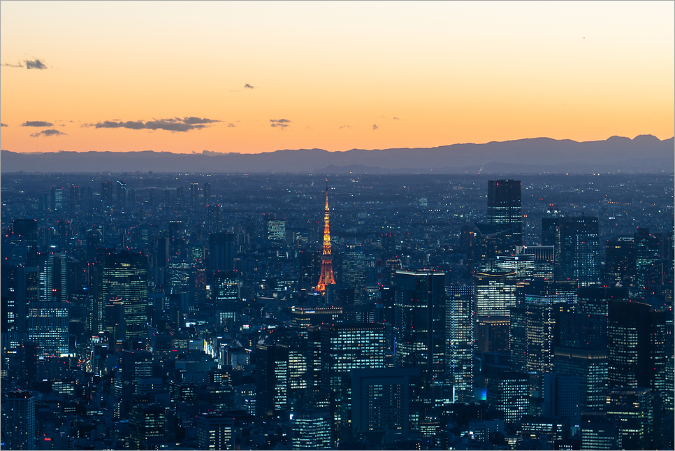 도쿄 스카이트리 전망대 예약 야경 가는법 일본 도쿄여행