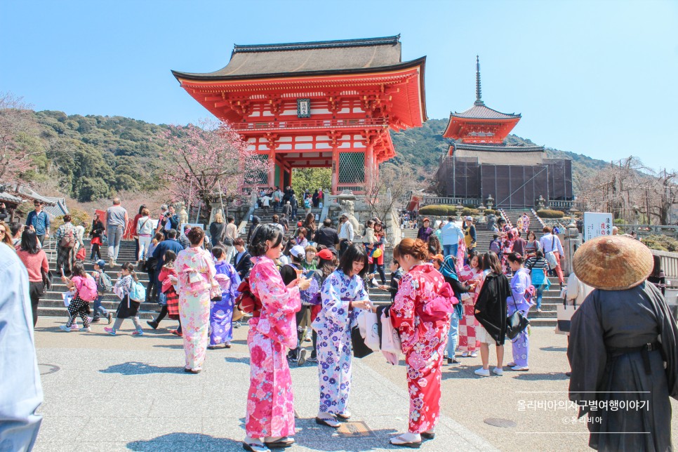 일본 포켓와이파이 도시락 할인 3월 오사카 날씨 벚꽃 개화시기