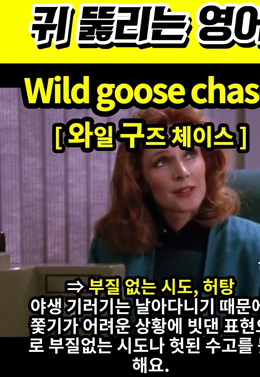 과천 할매와 귀 뚫리는 영어, 헛탕,부질없는 시도 [와일 구즈 체이스] Wild goose  chase