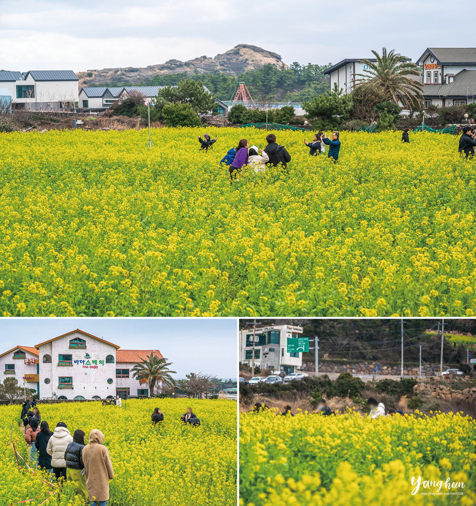 제주도 여행 일정 제주레일바이크 외