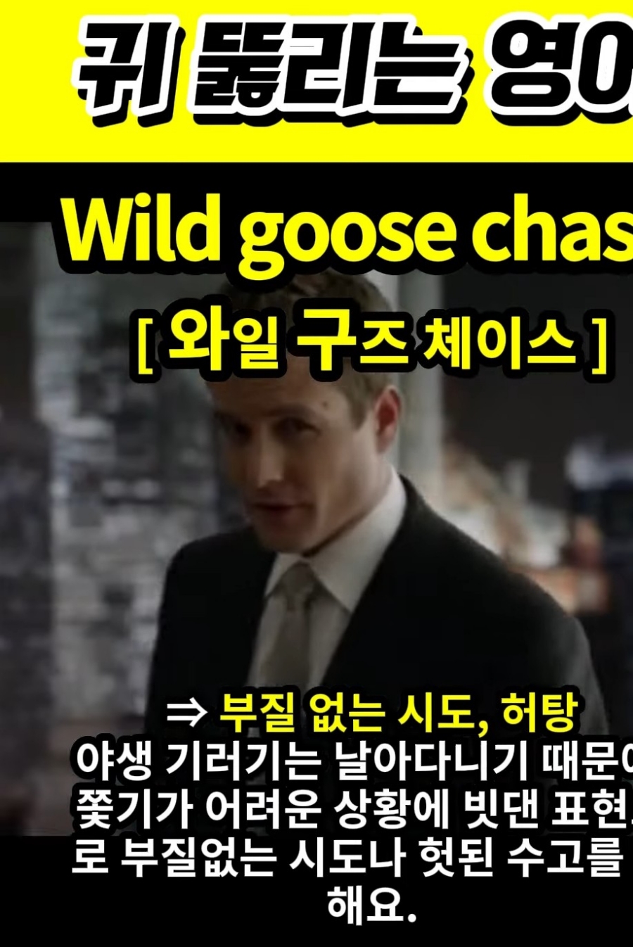 과천 할매와 귀 뚫리는 영어, 헛탕,부질없는 시도 [와일 구즈 체이스] Wild goose  chase