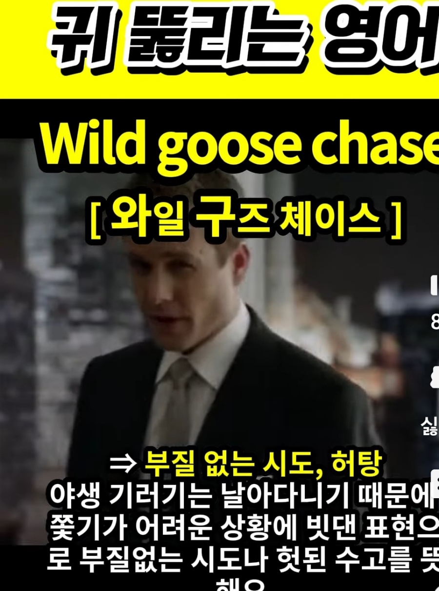 과천 할매와 귀 뚫리는 영어, 헛탕,부질없는 시도 [와일 구즈 체이스] Wild goose  chase