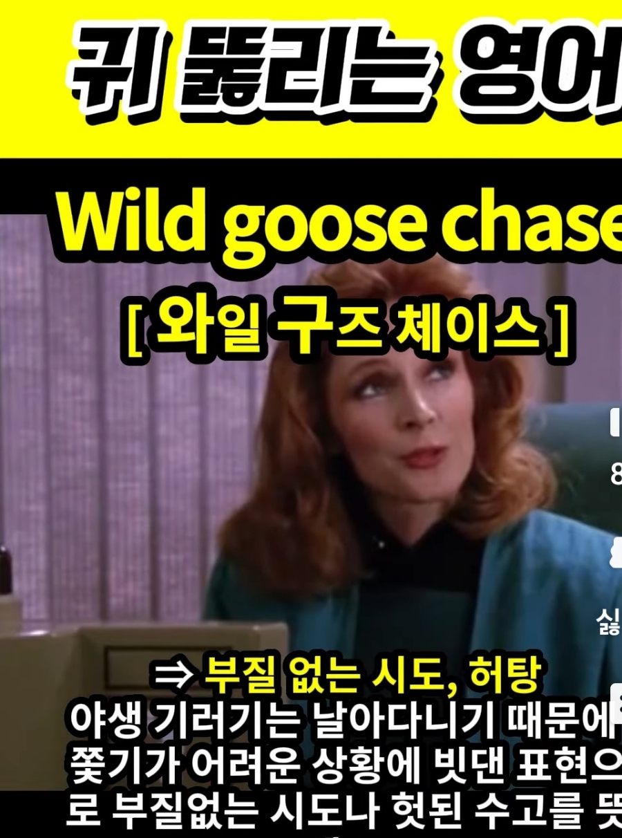 과천 할매와 귀 뚫리는 영어, 헛탕,부질없는 시도 [와일 구즈 체이스] Wild goose  chase