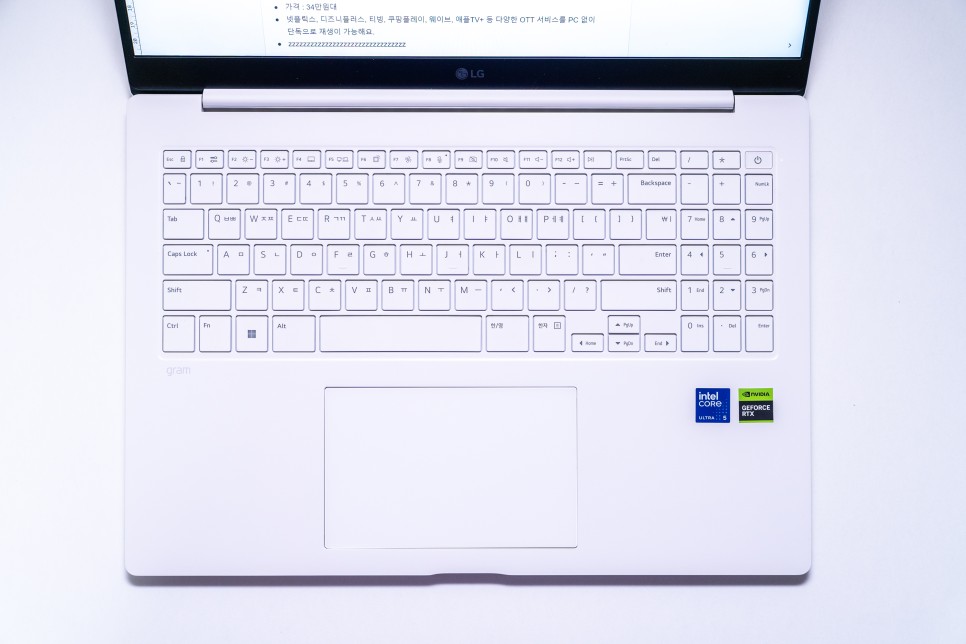 가벼운 고성능 업무용 노트북 추천 LG 그램 프로 RTX 3050 성능 후기 16ZD90SP-EX59K
