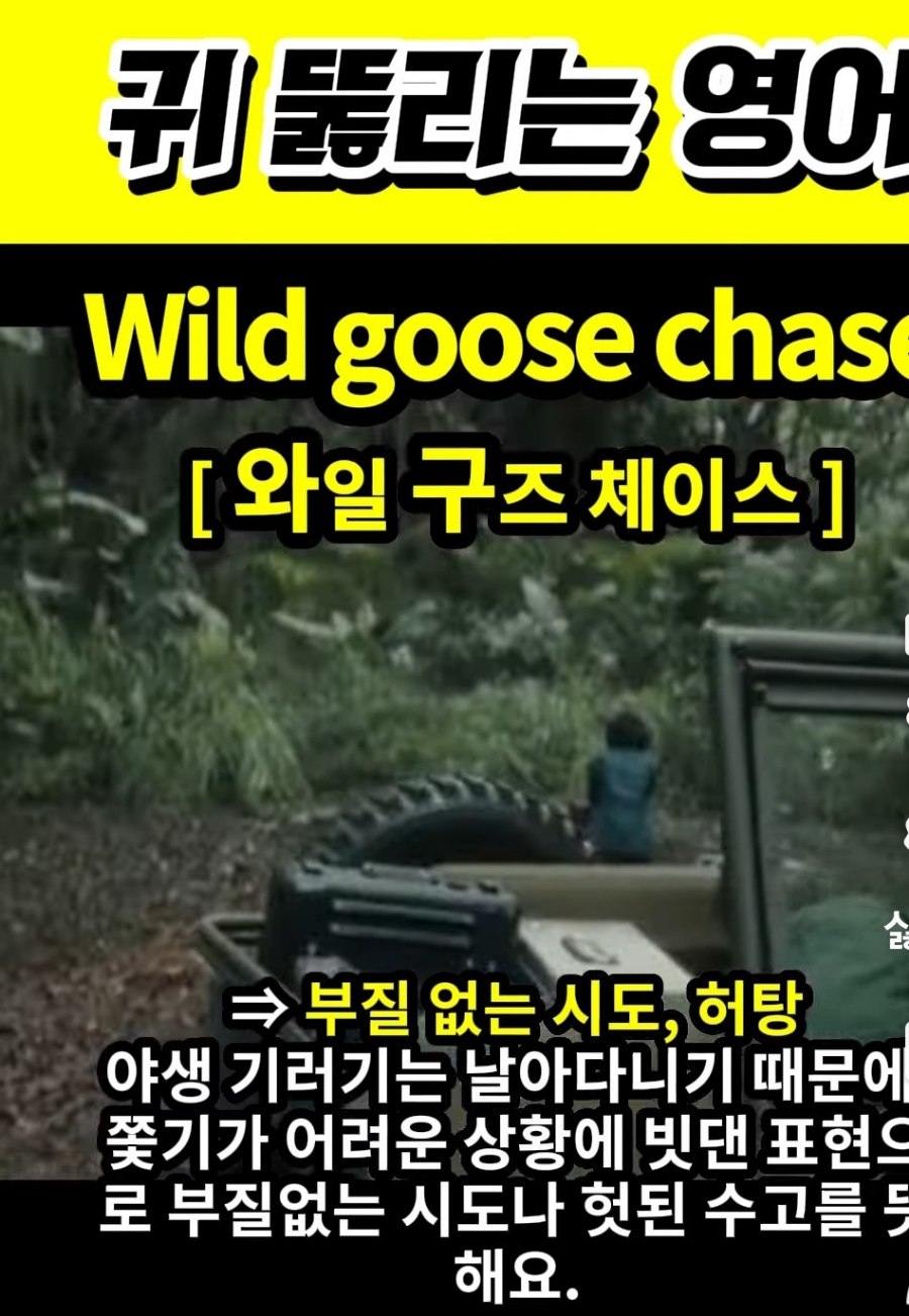 과천 할매와 귀 뚫리는 영어, 헛탕,부질없는 시도 [와일 구즈 체이스] Wild goose  chase