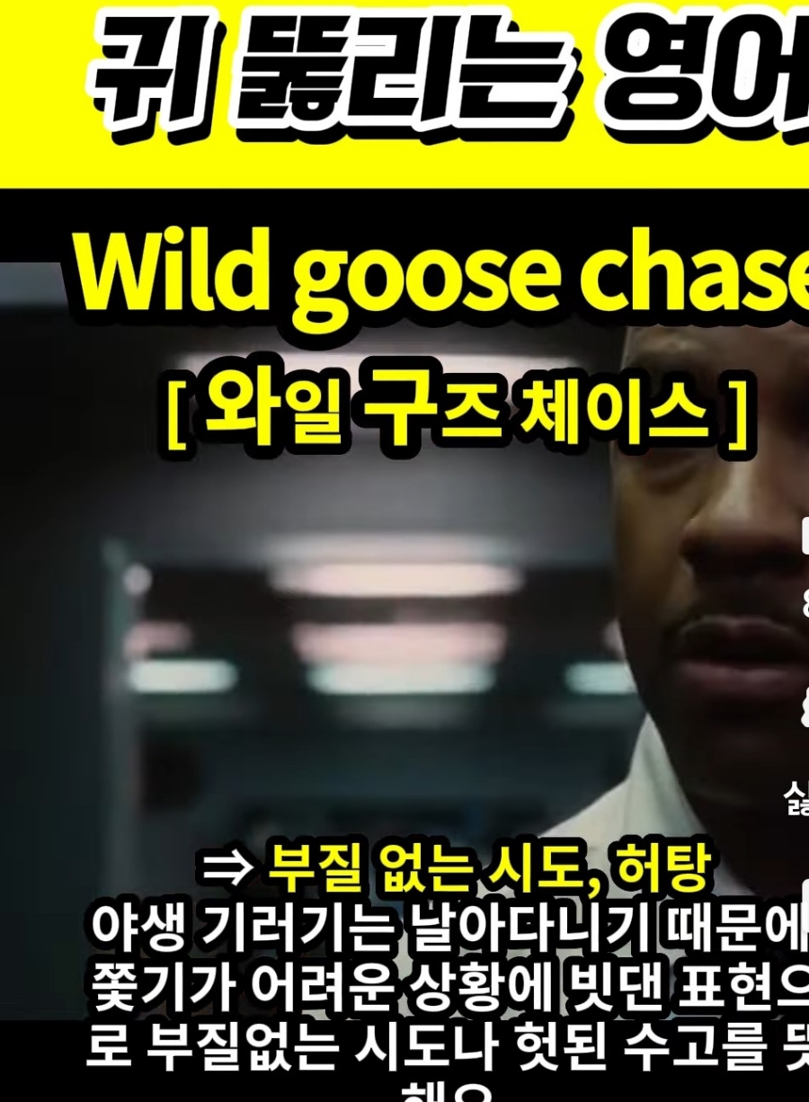 과천 할매와 귀 뚫리는 영어, 헛탕,부질없는 시도 [와일 구즈 체이스] Wild goose  chase