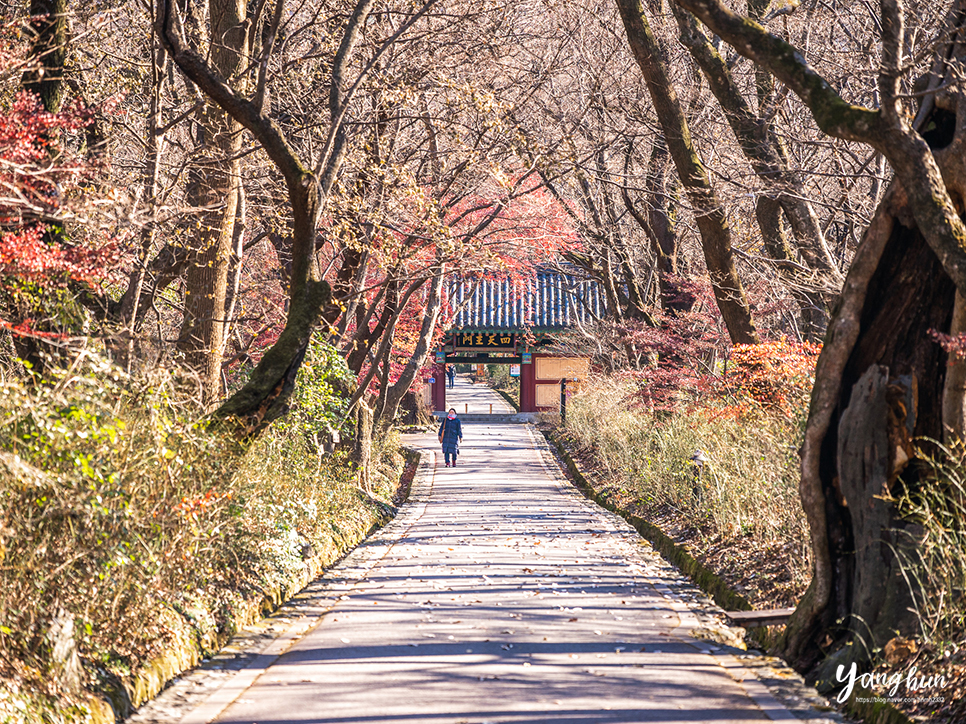 충남 공주 가볼만한곳 공주 여행 코스