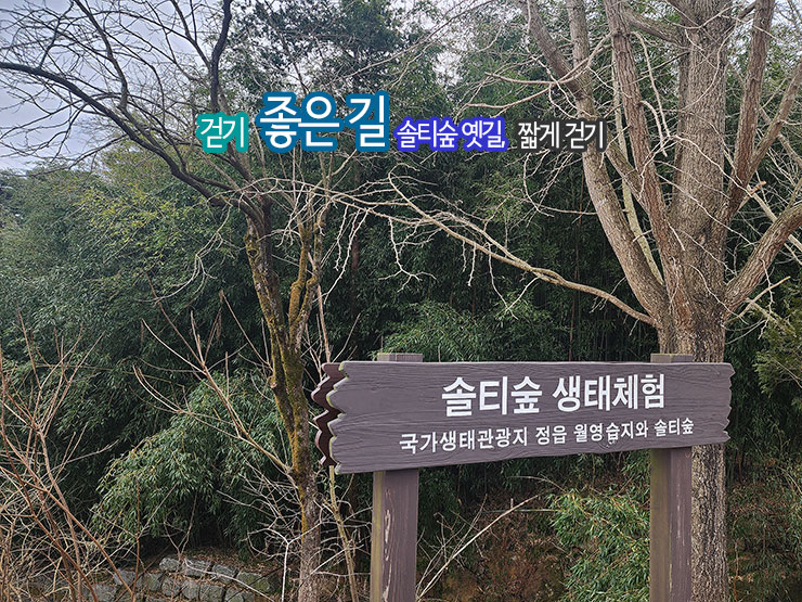 걷기 좋은 길 솔티 숲 옛길, 짧게 걷기 숲체험