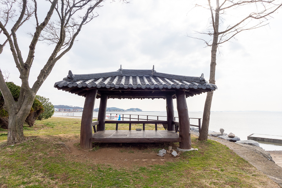 홍성 여행 가볼만한곳 남당항 새조개 축제 음악분수 충남드라이브코스