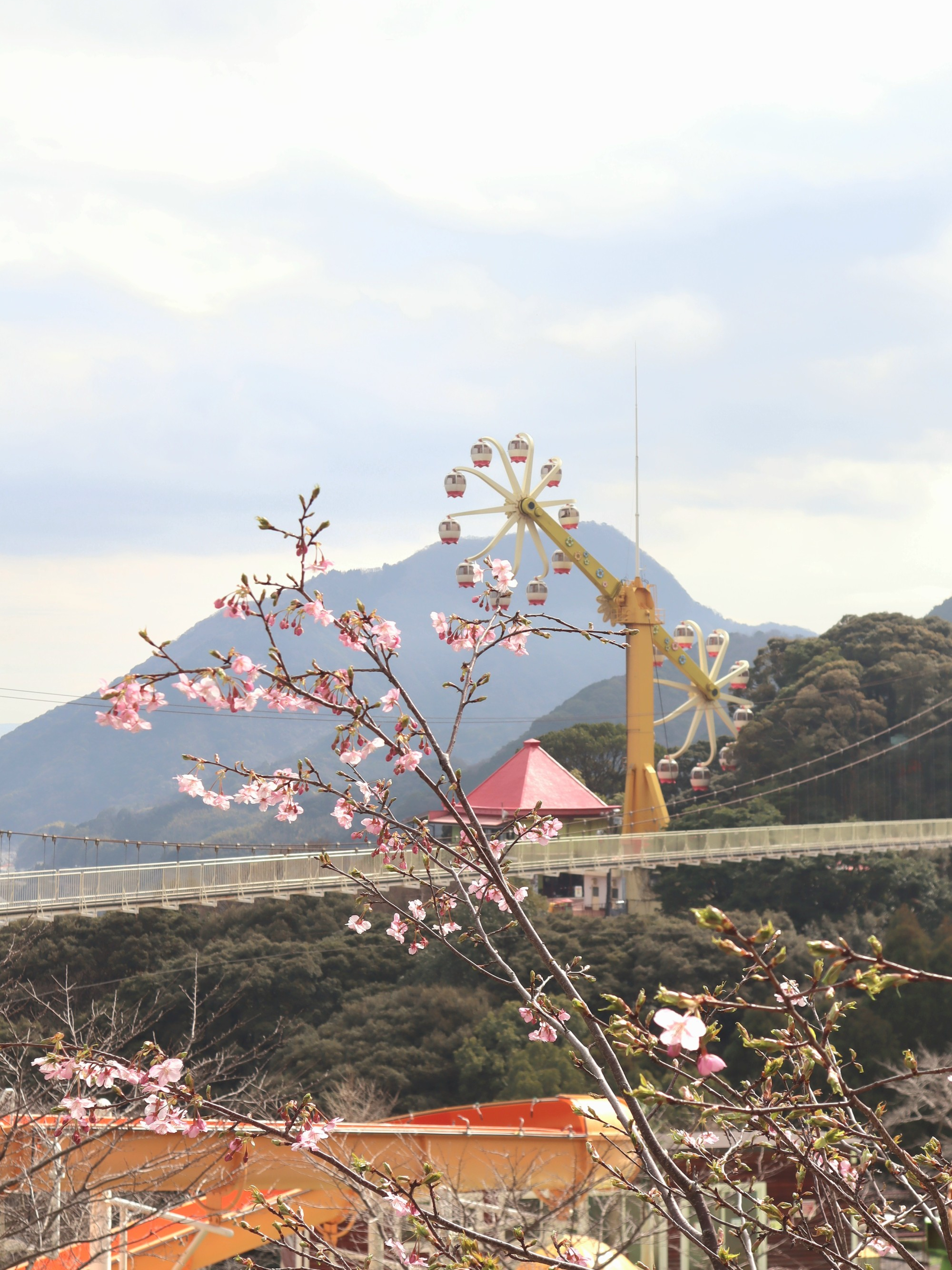 벳푸 가볼만한곳 지옥온천 순례 당일온천 벳푸주유패스 혜택 정리