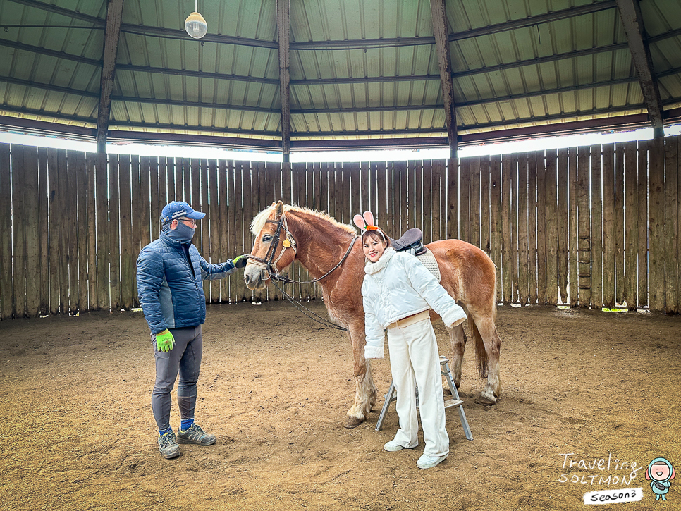 제주도 2박3일 여행코스 추천 일정 숙소 ♬ 3월 여행지