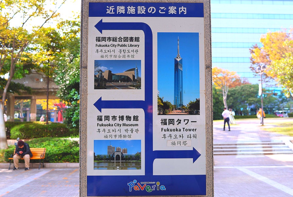 후쿠오카 자유여행 가볼만한곳 후쿠오카 타워 입장권 할인 놀거리