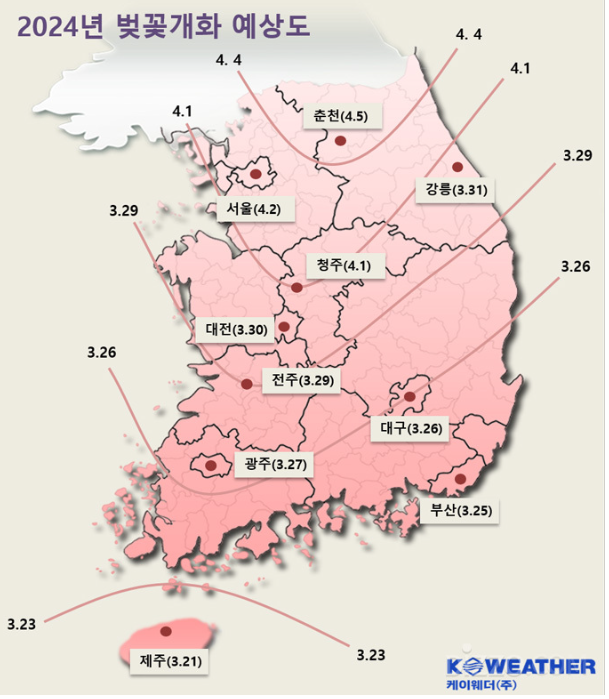 제주도 벚꽃 개화시기 제주 벚꽃 명소 동쪽 서쪽 코스