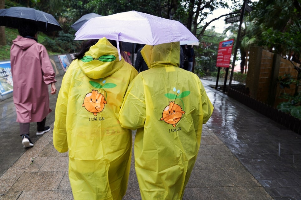 대만 볼만했던 예류지질공원 투어 코스 중 민망했던 사연은..