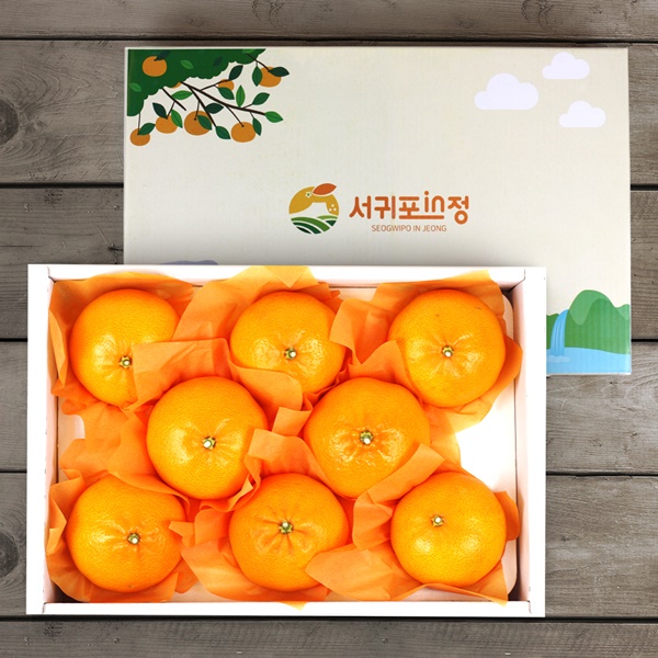‘서귀포in정’설 기획전 매출 25억 달성