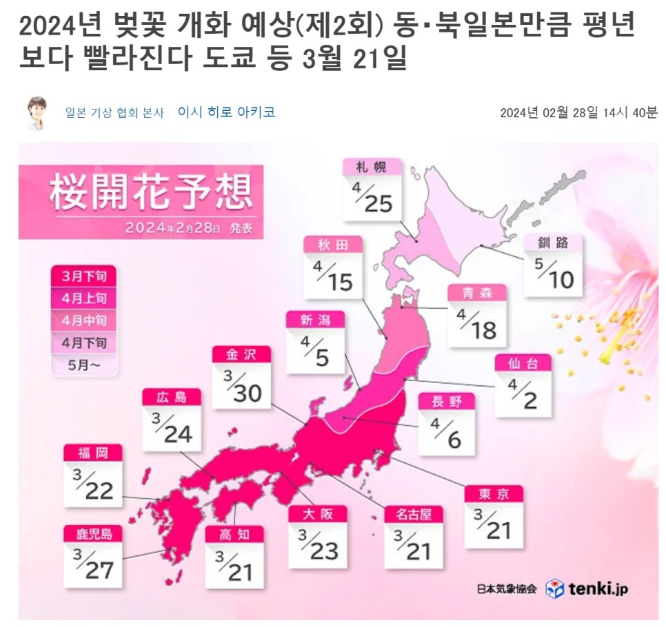 2024 일본 벚꽃 개화시기 도쿄 오사카 교토 소도시 포함 벚꽃명소