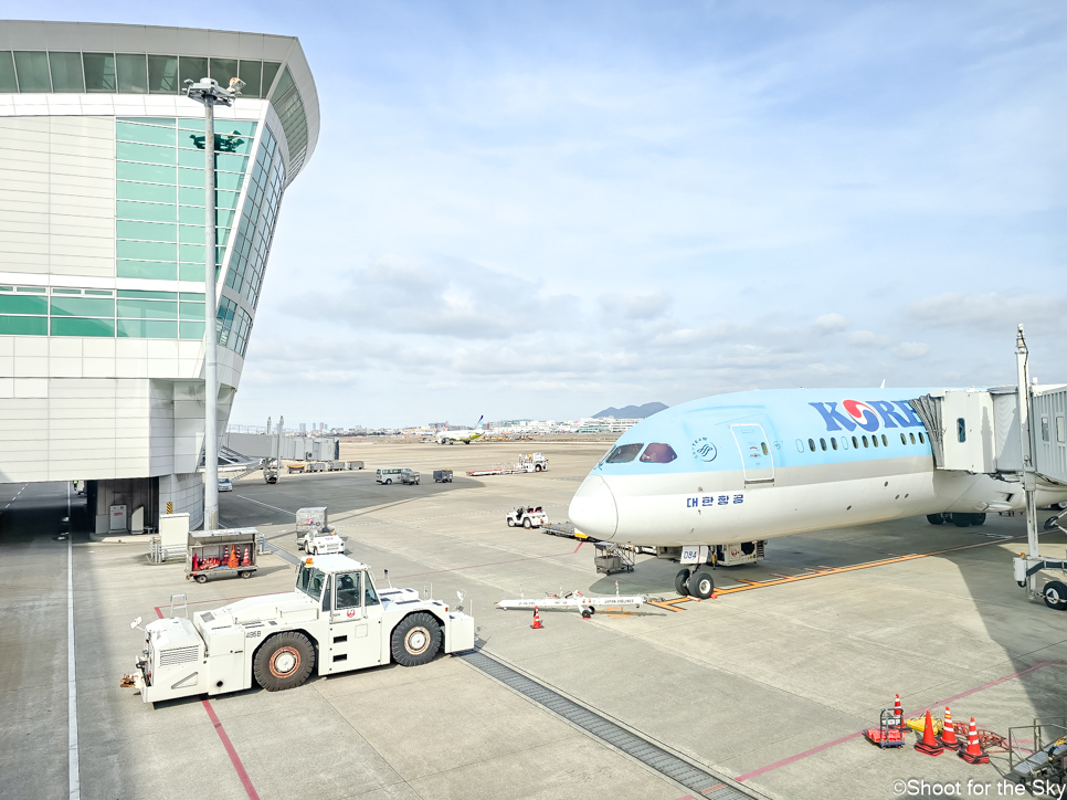 KE789 KE790 A321-200 인천 ↔ 후쿠오카 비행기 기내식 후기