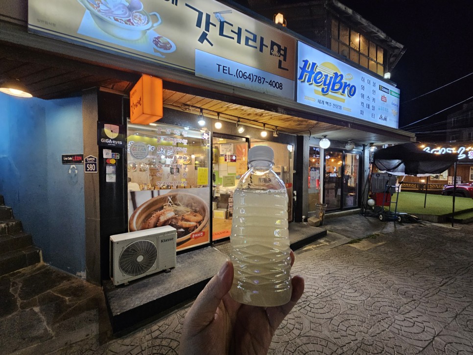 제주 캠핑카 여행 표선해수욕장 차박 장소 추천 포인트