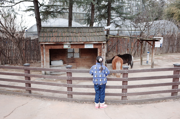동물원, 식물원, 놀이터까지 아이와 놀기 좋은 서울 어린이대공원