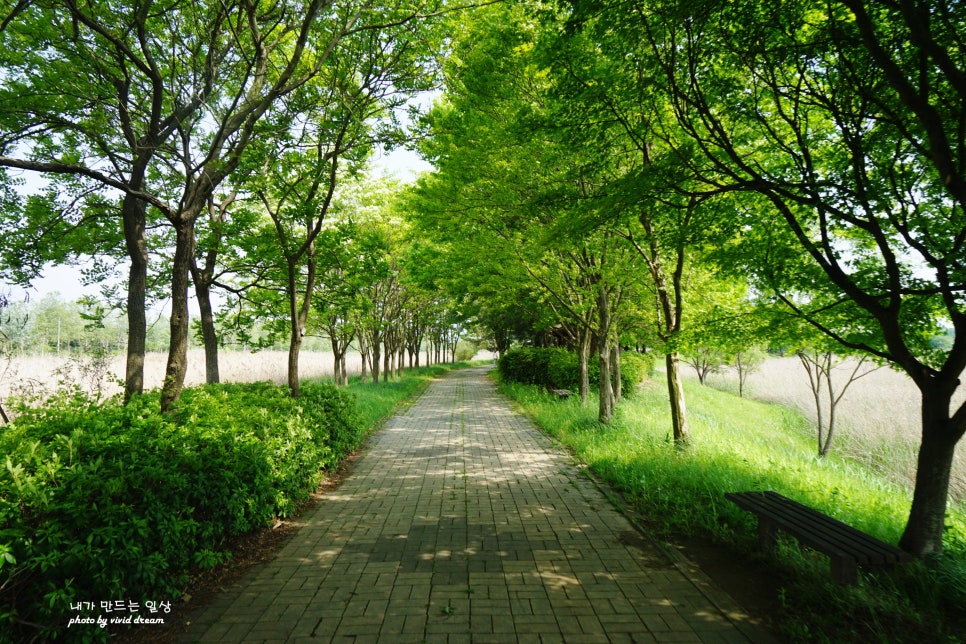 경기도 안산 갈만한곳 산책하기 좋은 식물원 백운공원 갈대습지
