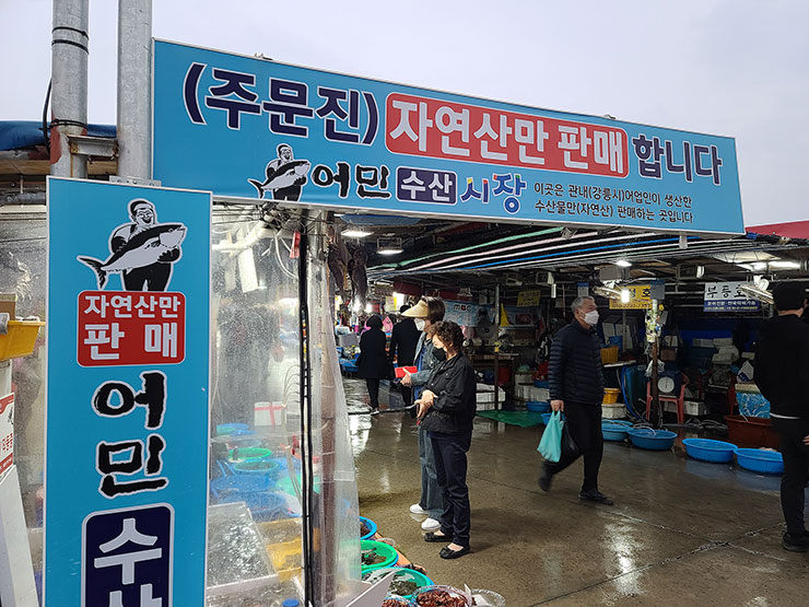 주문진항 맛집 대영유통, 주문진 어민 수산시장 앞