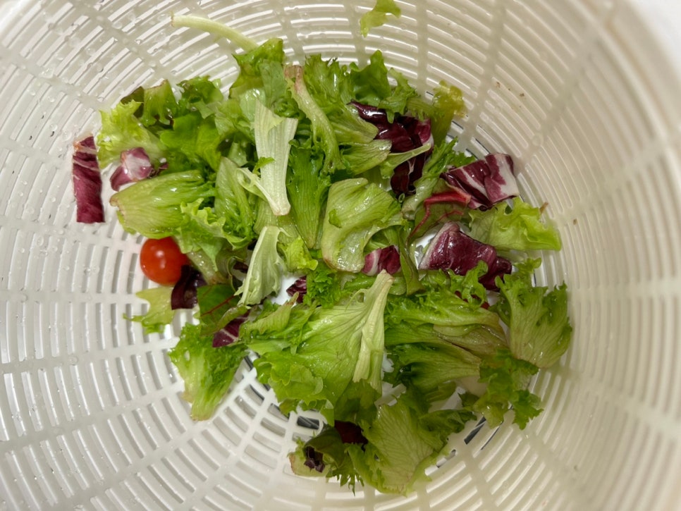 음식물 야채탈수기 샐러드 쌈채소 필수템