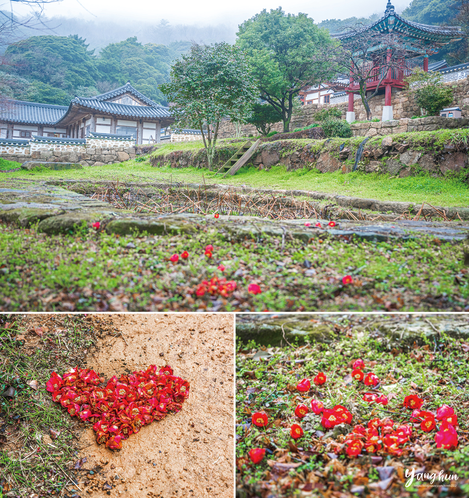 국내 1박2일 여행 여행가는 달 강진 가볼만한곳 국내 여행 숙박 혜택