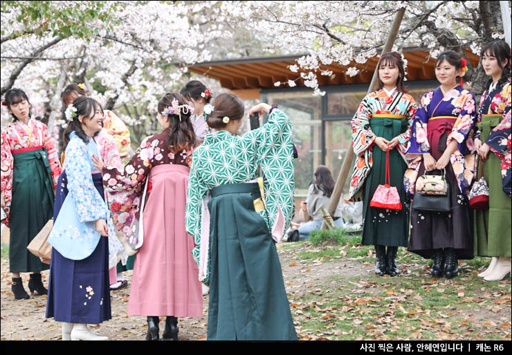 일본 오사카 벚꽃 명소 오사카 가족여행 오사카 덴노지 동물원