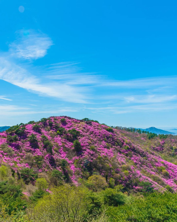 4월 봄 트레킹 여행 추천, 분홍빛 진달래 명소 4