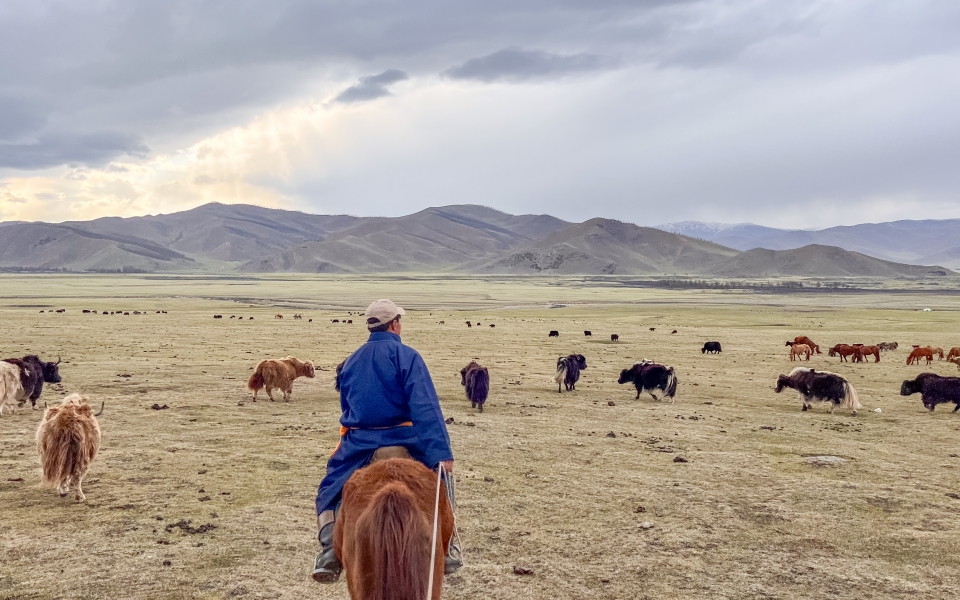 몽골여행 총정리 : 게르 푸르공 음식 투어 동행까지