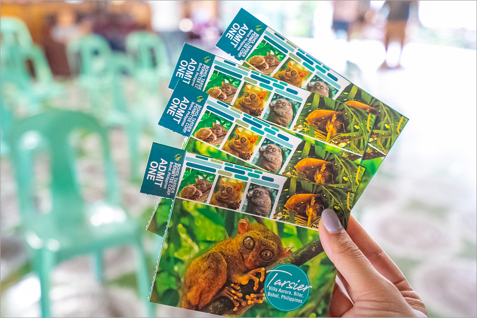 필리핀 보홀 반딧불투어 보조강 바클라욘 성당 안경원숭이 구경 포함