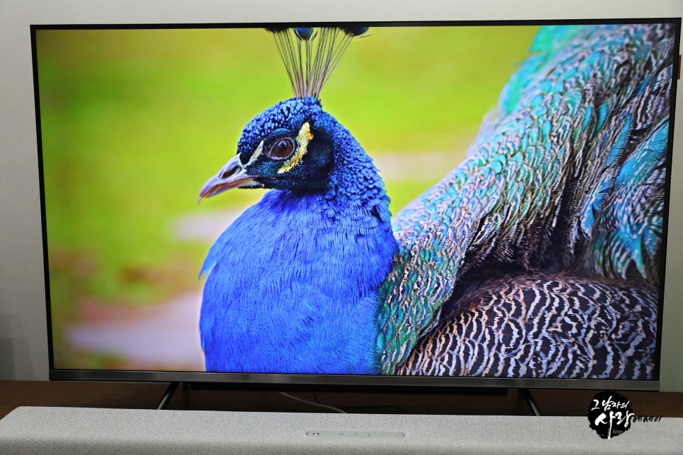 스마트 TV 추천, 이스트라 43인치 티비 화질 비교