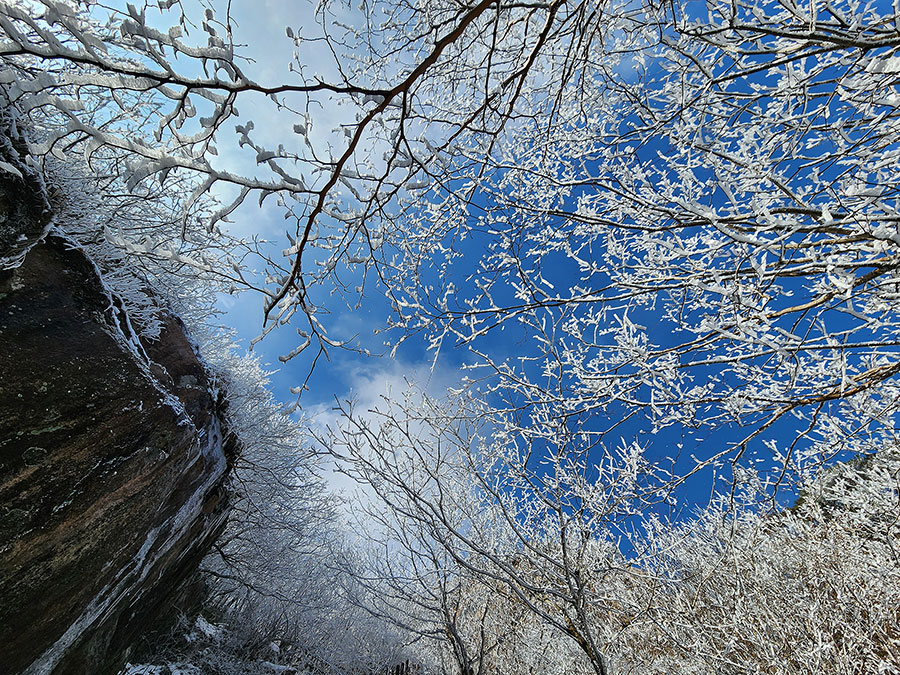 월출산 국립공원 천황지구 순환코스 눈꽃산행