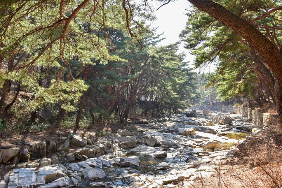 국내여행 여행가는달 3월엔 여기로 로컬재발견 캠페인 소개