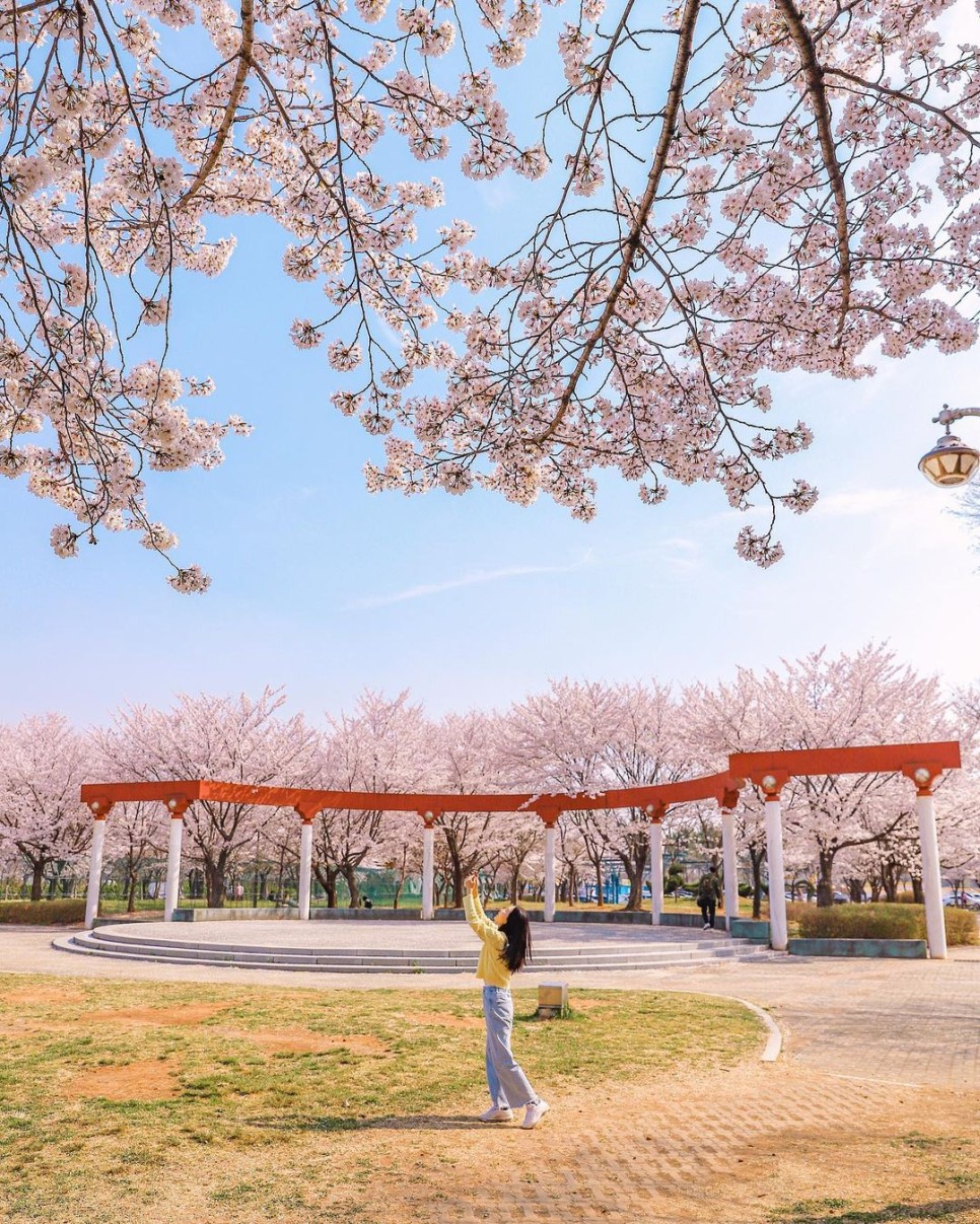 안산 가볼만한 곳, 봄나들이 드라이브 코스, 서울 근교 당일치기