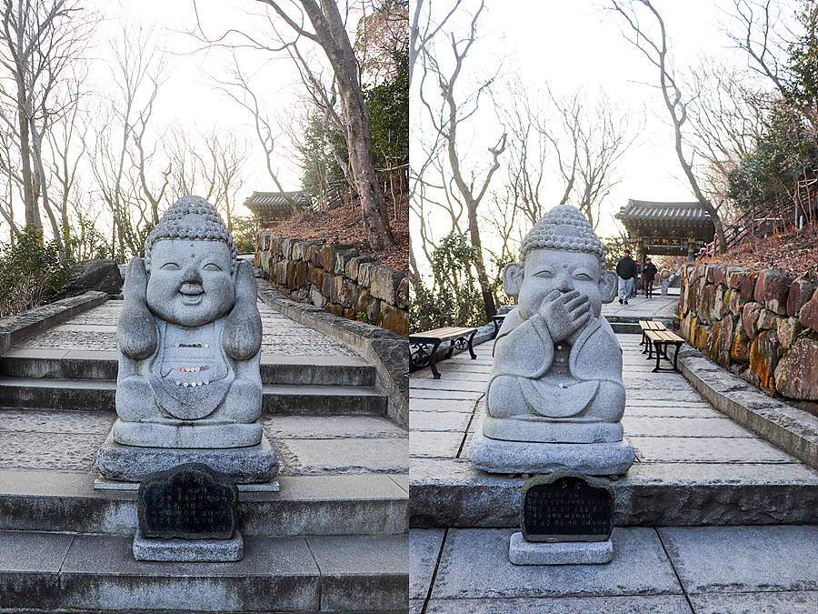 [다도해해상국립공원] 향일암 일출과 변산바람꽃, 금오산 왕복 등산코스