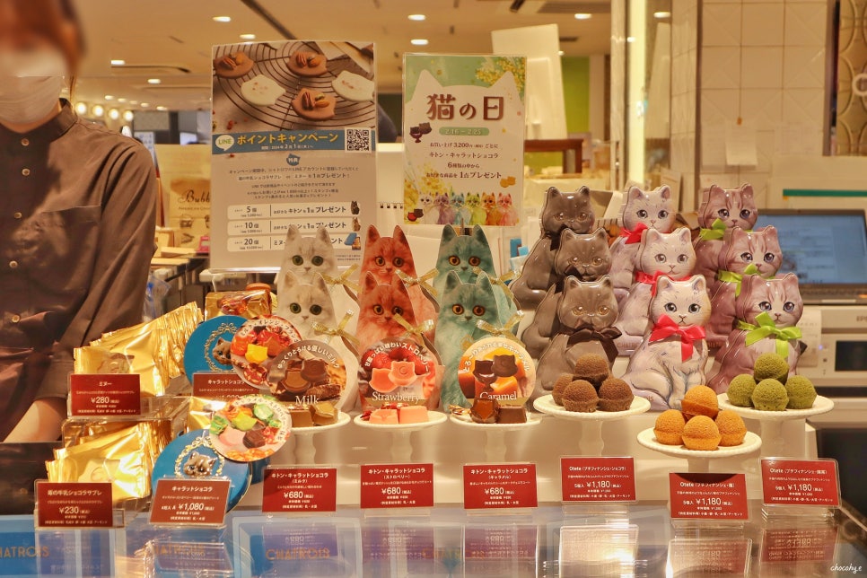 일본 도쿄 쇼핑 리스트 도쿄역 일번가 기념품 선물 캐릭터샵 포켓몬센터 등