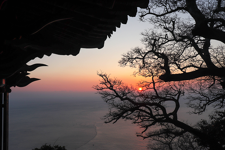 [다도해해상국립공원] 향일암 일출과 변산바람꽃, 금오산 왕복 등산코스