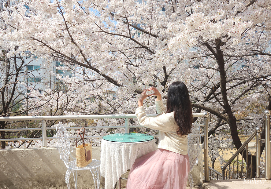 서울 웨스틴조선호텔 5성급 15%할인 특가 벚꽃축제 호캉스