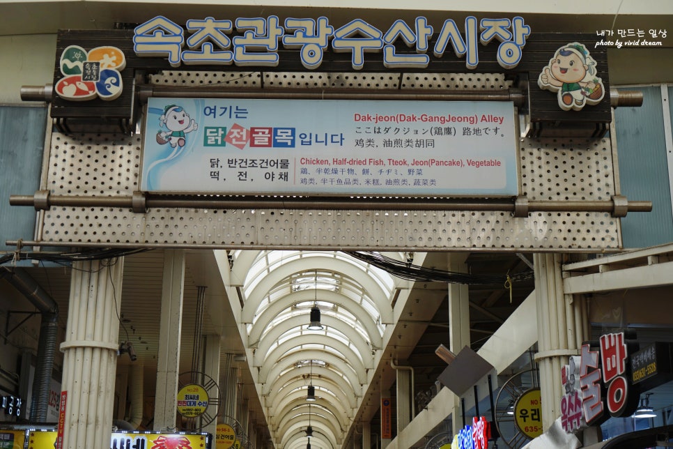 속초 중앙시장 홍게 가성비 좋은 수산시장 아빠가잡아온붉은대게