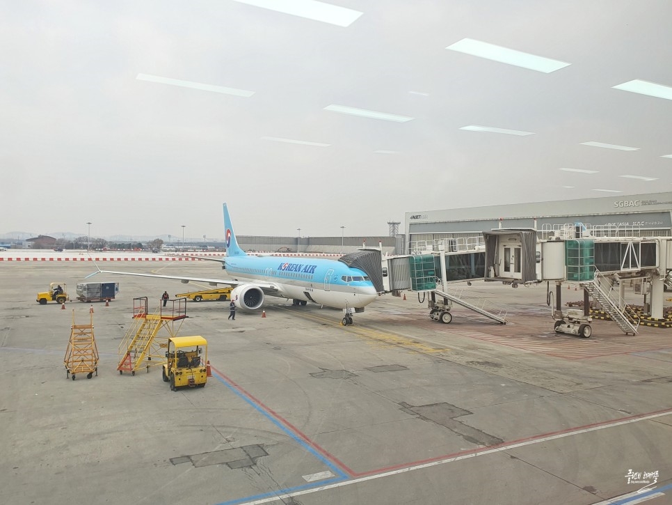 상하이 여행 중국 입국 신고서 중국 유심 사용 후기