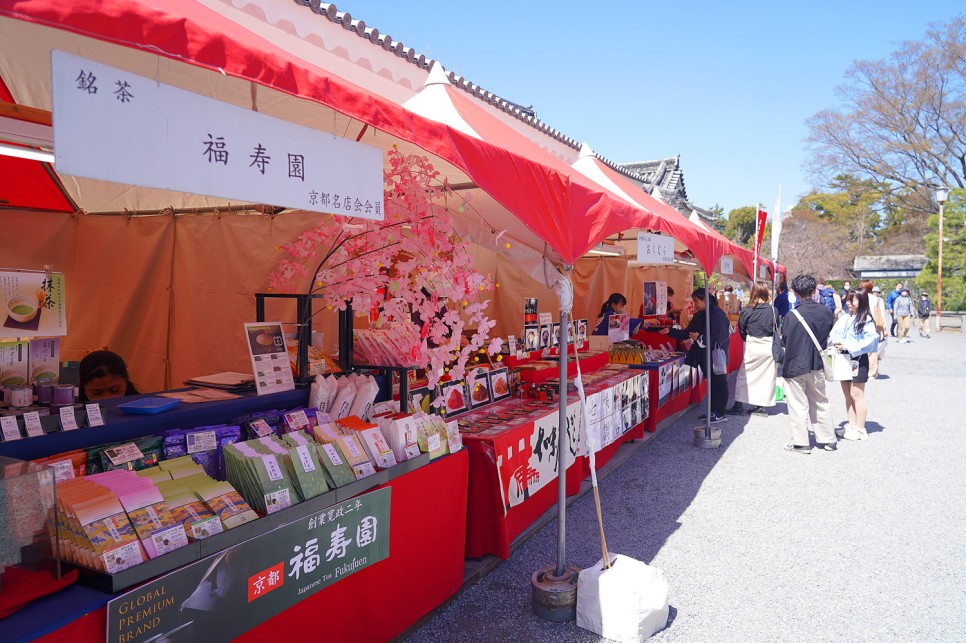 2024 일본 벚꽃 축제 교토 가볼만한 곳 니조성 입장권
