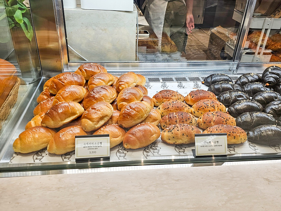 수원 스타필드 애견동반 핫플 수원 빵지순례 경기도 데이트 가볼만한곳