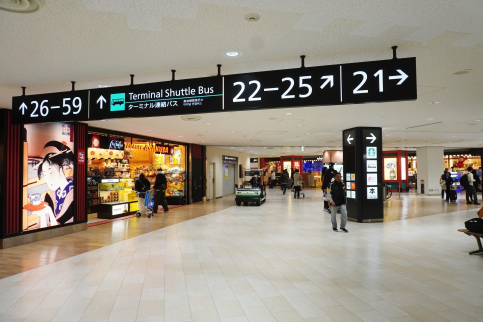 일본 도쿄 항공권 특가 3월 여행, 해외 비행기표 가격 50% 선착순! +공항 면세점 쇼핑리스트